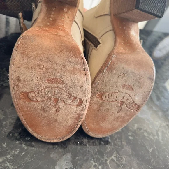 Freebird by Steven Belladonna - Picture 4 of 4